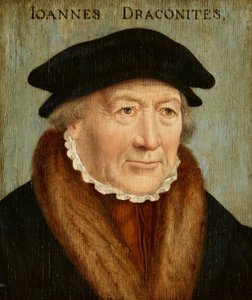Portrait of Johannes Draconites by Bartholomaeus Bruyn the Elder