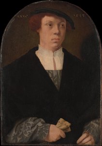 Portrait of a Man, 1533 by Bartholomaeus Bruyn the Elder