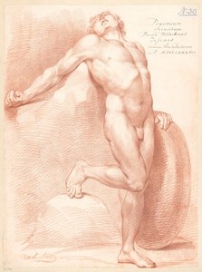 Standing Male Nude, Front View