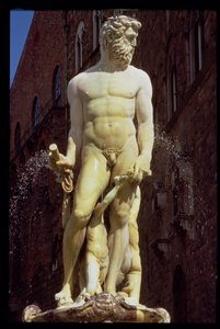 The Fountain of Neptune (detail)