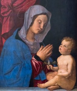 Madonna and Child by Bartolomeo Montagna
