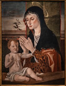 Madonna with infant Jesus by Bartolomeo Montagna