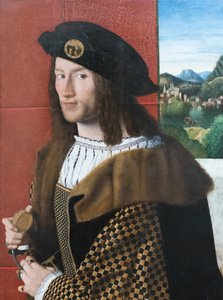 Portrait of a Gentleman