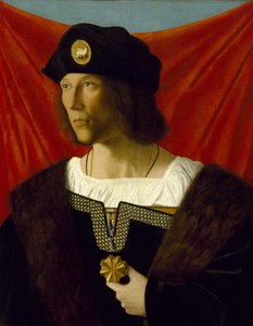 Portrait of a Gentleman by Bartolomeo Veneto