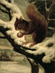 A Red Squirrel Eating a Nut by Basil Bradley