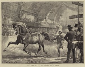 Trotting at the Islington Horse Show