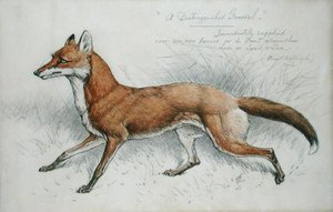 A Distinguished General by Basil J. Nightingale
