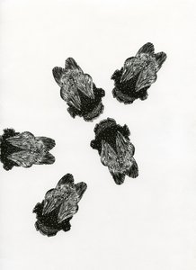 Bumblebees