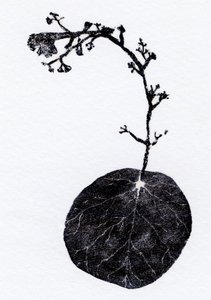 Lichen Leaf by Bella Larsson