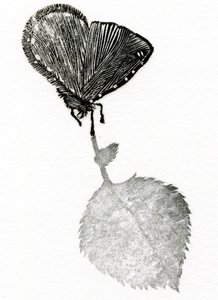 Suspense by Bella Larsson