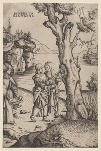 Birth of Adonis (from the series: The Metamorphoses) by Benedetto Montagna