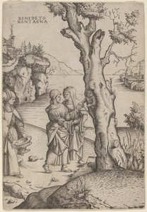 Birth of Adonis by Benedetto Montagna