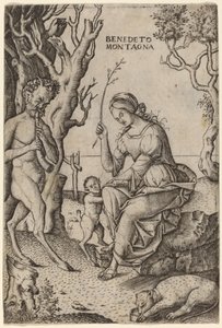 Satyr Family