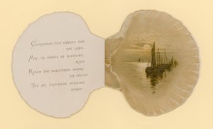 Illustration for booklet entitled Sea Shells