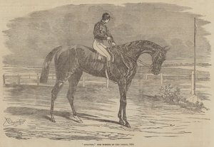Andover, the Winner of the Derby, 1854