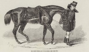 The Duke