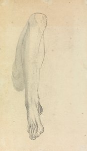 Anatomical Study of a Leg by Benjamin Robert Haydon