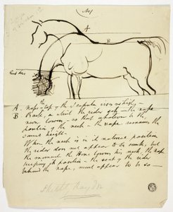 Sketch of Horse with Notations by Benjamin Robert Haydon