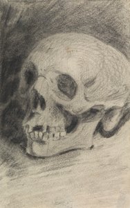 Study of a Skull