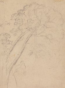 Costume Study for the Portrait of a Lady by Benjamin West