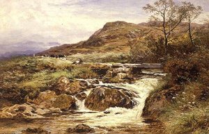 Summertime near Dolgelly, North Wales