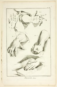 Design: Hands, from Encyclopédie by Benoit Louis Prevost