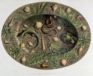 Plate with Reptiles - Ceramic Plate, in 