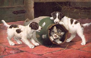 Cat Postcard by Bernard Cobbe
