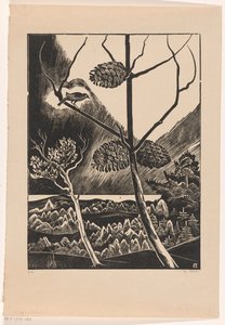 Pine Branch