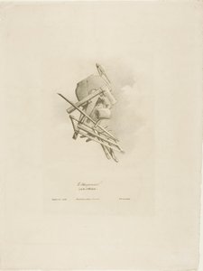The Carpenter, from Arts et Métiers