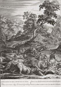 Acteon turned into a Stag, and devoured by his dogs