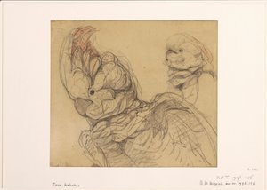 Two Cockatoos, Half-Length