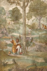 Cephalus Hiding the Jewels by Bernardino Luini