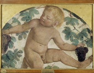 Harvesting Putti - Putto under a Pergola, c.1514 by Bernardino Luini