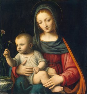 The Madonna of the Carnation by Bernardino Luini