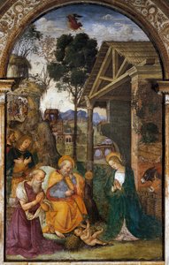 Nativity with St. Jerome, youthful fresco by Bernardino Betti known as Il Pinturicchio