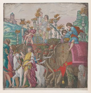 Elephants, from The Triumph of Julius Caesar by Bernardo Malpizzi
