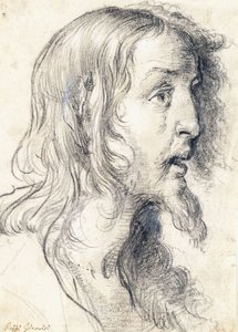 The Head of Christ in Profile to the Right by Bernardo Strozzi
