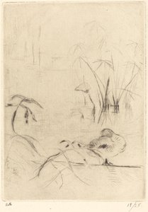 Ducks at Rest on the Bank