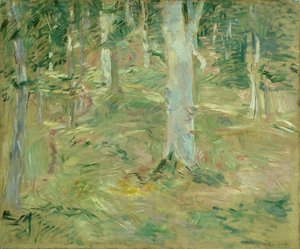 Forest of Compiègne