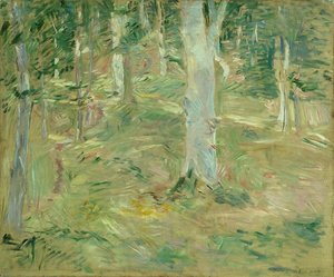 Forest of Compiègne