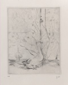 Goose, 1889