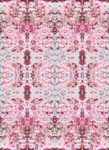 Burgandy Rose, 2015 by Beth Travers