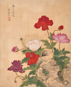 Album of Flowers by Bing Yun