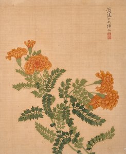 Album of Flowers by Bing Yun