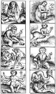 Beliefs and Popular Superstitions