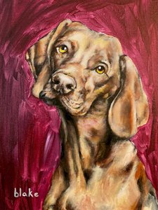 Dogs Rule by Blake Munch