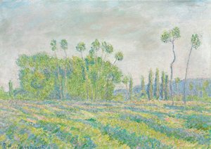 Giverny, Poplars of Ajoux