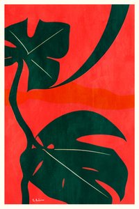 Monstera Jungle Leaves
