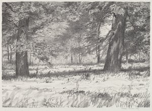 Two Maples by Bolton Brown